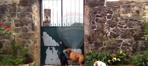 5 bedrooms House in Ponte de Lima, Portugal No. 59773 16