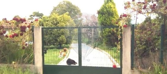 5 bedrooms House in Ponte de Lima, Portugal No. 59773 12