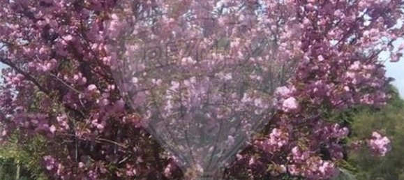 5 bedrooms House in Ponte de Lima, Portugal No. 59773 2