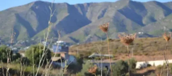 Terreno en Mijas, Spain No. 106348 3