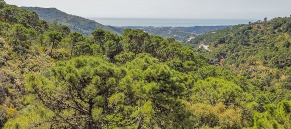 Terrain à Malaga, Spain No. 146562 5