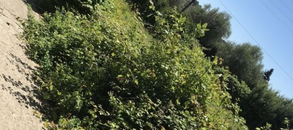 1548m² Land in Biot, France No. 48492 2