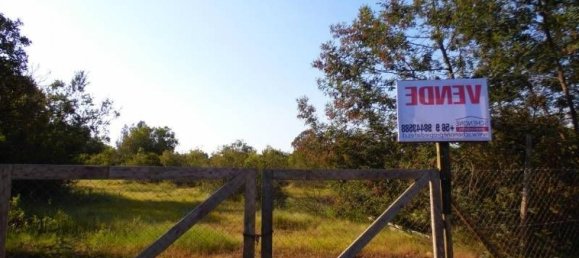  Land in Maule, Chile No. 598 2