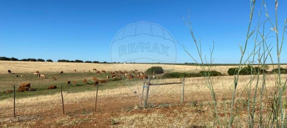 1 bedroom Castles in Nossa Senhora de Machede, Portugal No. 69727 7