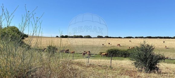 1 bedroom Castles in Nossa Senhora de Machede, Portugal No. 69727 8