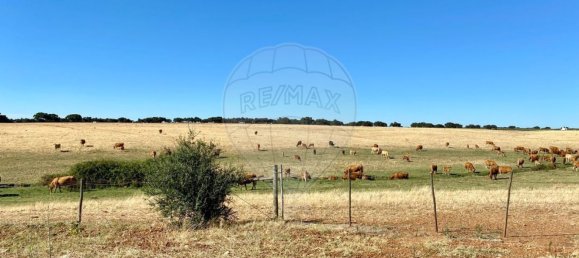 1 bedroom Castles in Nossa Senhora de Machede, Portugal No. 69727 9