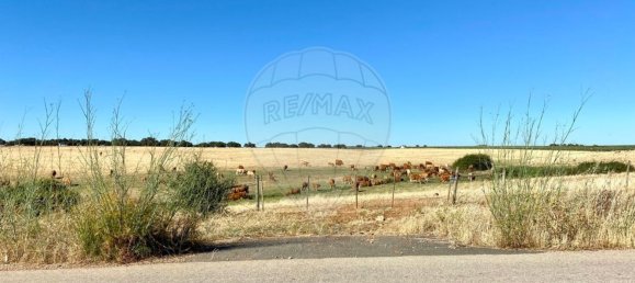 1 bedroom Castles in Nossa Senhora de Machede, Portugal No. 69727 6