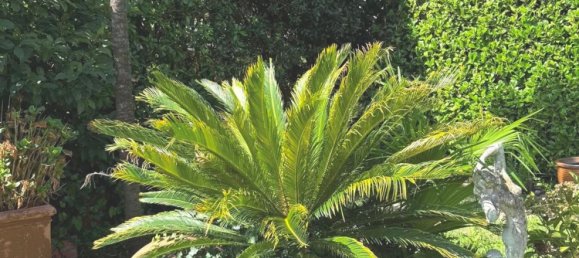 4-salle Villa à Arizzano, Italy No. 281165 11