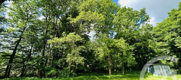 3 chambres Maison à Esternay, France No. 90025 13