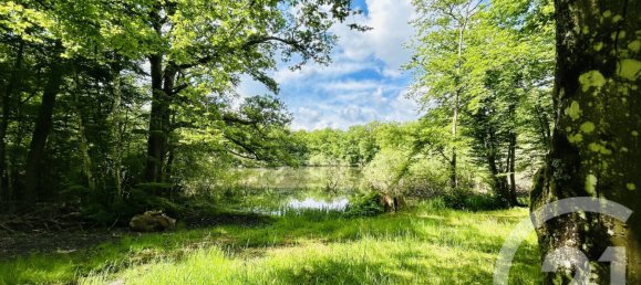 3 chambres Maison à Esternay, France No. 90025 14