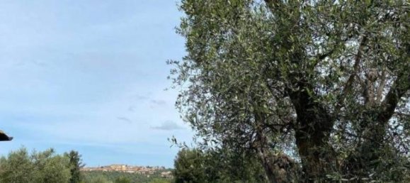 Вилла с 5 комнатами в Мальяно ин Тоскана, Италия № 107289 19