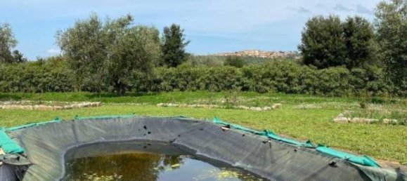 Вилла с 5 комнатами в Мальяно ин Тоскана, Италия № 107289 23