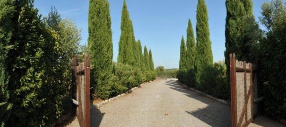 Вилла с 5 комнатами в Мальяно ин Тоскана, Италия № 107289 28