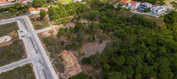 7470m² Land in Caldas da Rainha, Portugal No. 81426 13