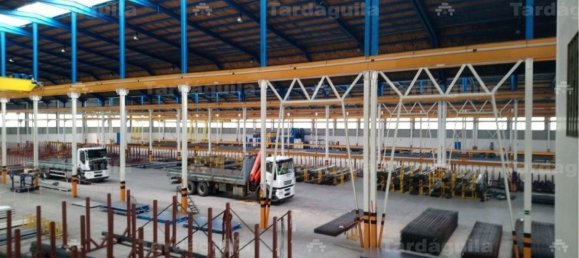 Entrepôt à Castellanos de Moriscos, Spain 12500m² No. 117401 13