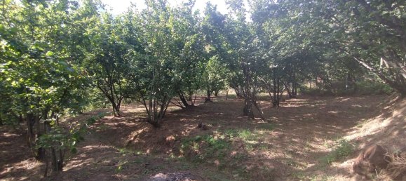 6000m² Land in Montecorvino Pugliano, Italy No. 110222 3