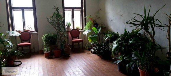 7 rooms House in Winden am See, Austria No. 153082 18