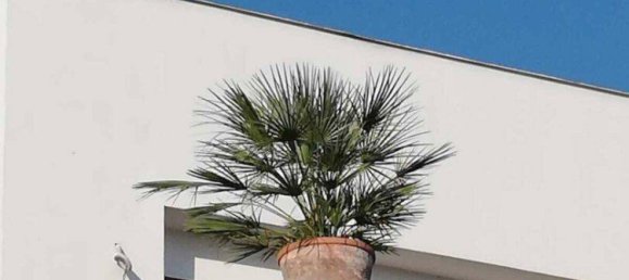 7 rooms House in Winden am See, Austria No. 153082 23