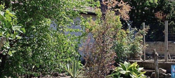 7 rooms House in Winden am See, Austria No. 153082 24