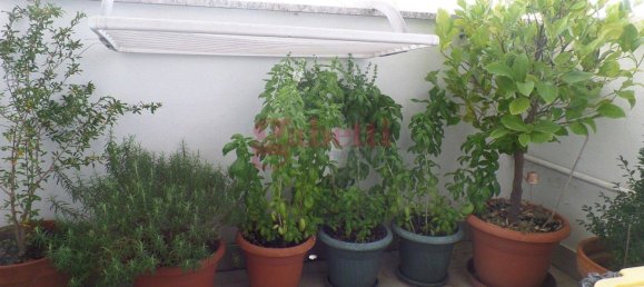 2 bedrooms Apartment in Cento, Italy No. 54487 33