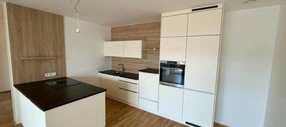 Apartamento de 3 habitaciónes en Garsten, Austria No. 152072 4