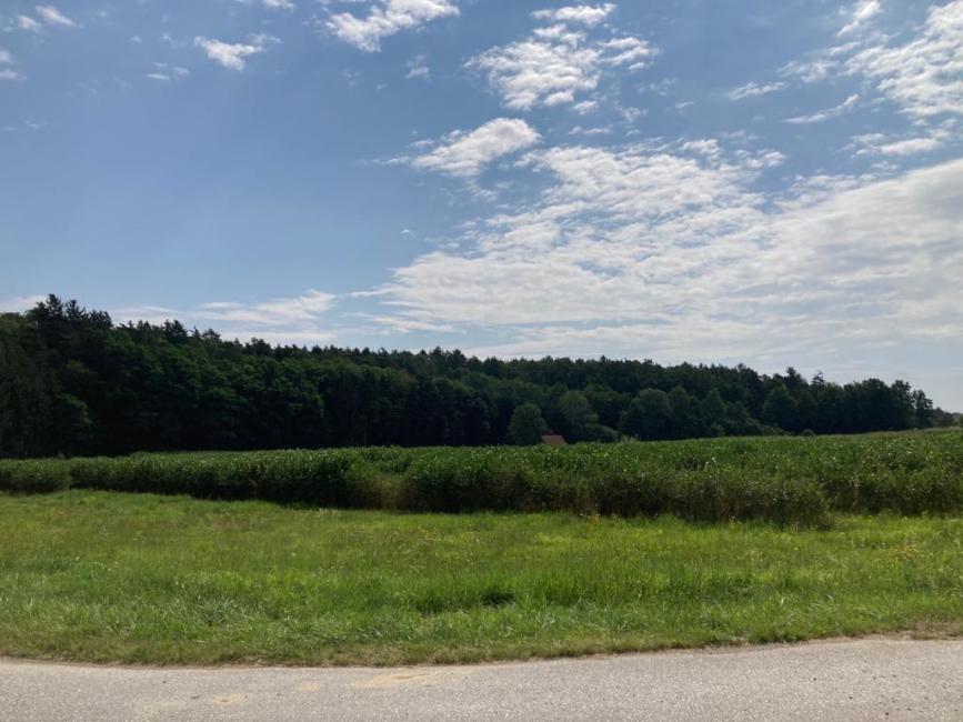  Land in Bad Blumau, Austria No. 155048