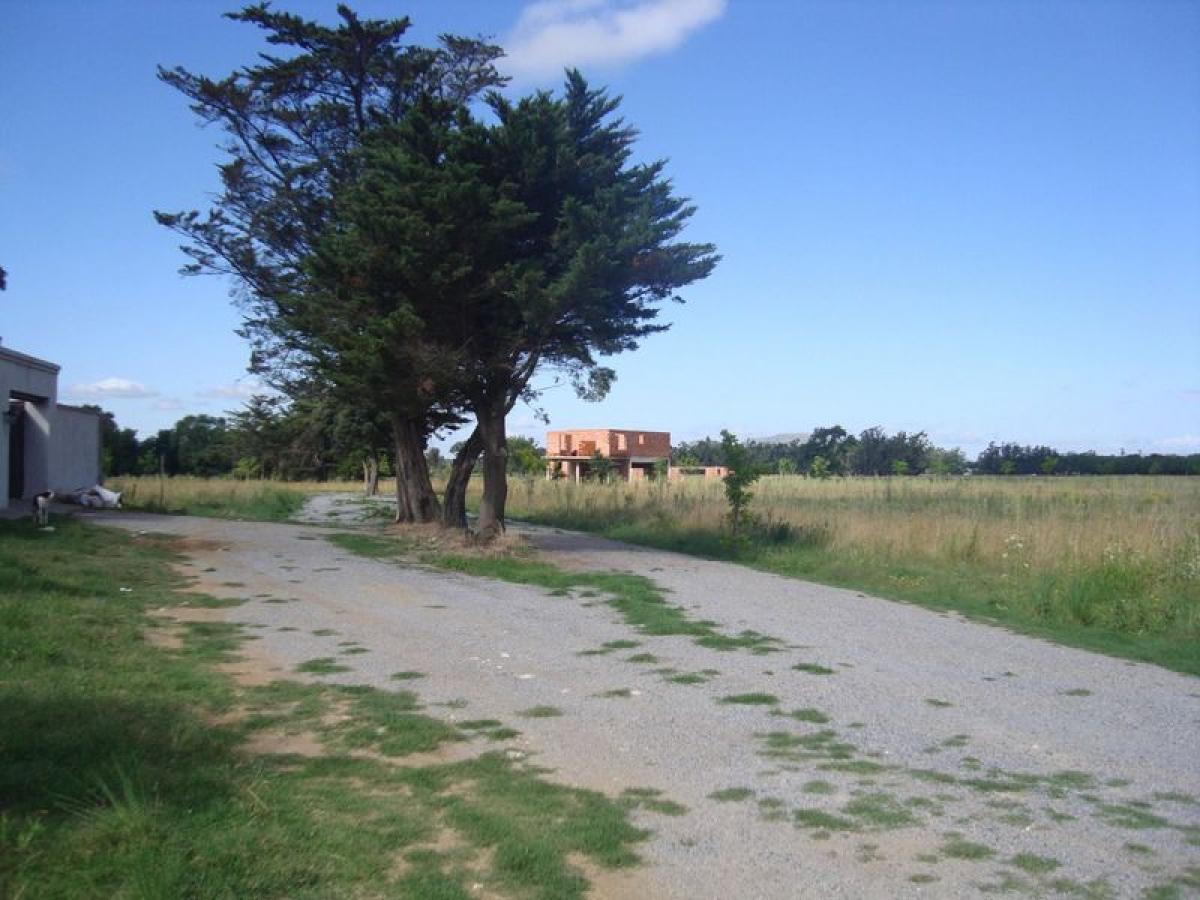  Land in Buenos Aires, Argentina No. 118956