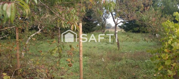 2 bedrooms House in Chateauroux, France No. 214544 15