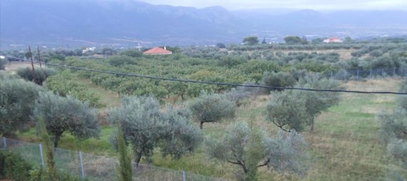 Коммерческая недвижимость с 4 спальнями в Мегара, Греция № 6030 18