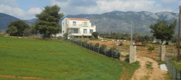 Коммерческая недвижимость с 4 спальнями в Мегара, Греция № 6030 17