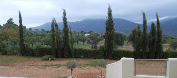 Коммерческая недвижимость с 4 спальнями в Мегара, Греция № 6030 13