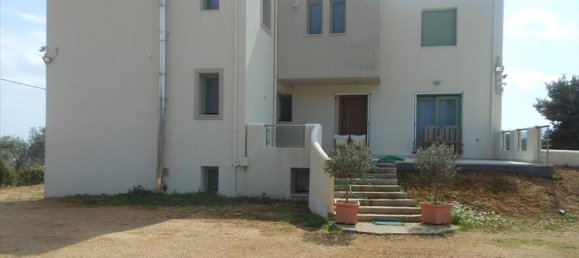 Коммерческая недвижимость с 4 спальнями в Мегара, Западная Аттика, Аттика, Греция № 6030 15