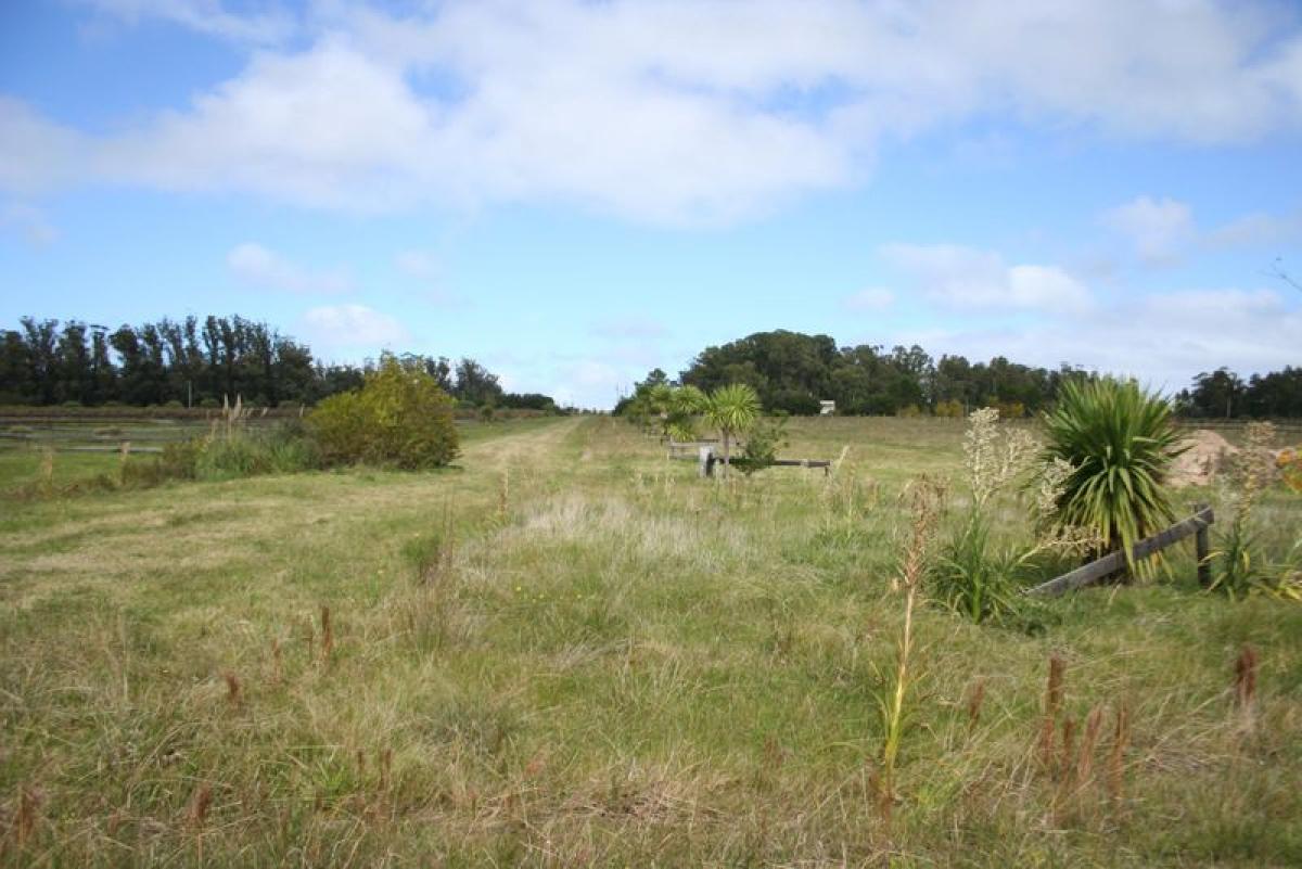  قطعة أرض في Maldonado, Uruguay رقم 13963