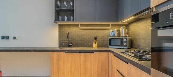 49.7m² Apartment in Downtown Dubai (Downtown Burj Dubai), UAE No. 4249 9