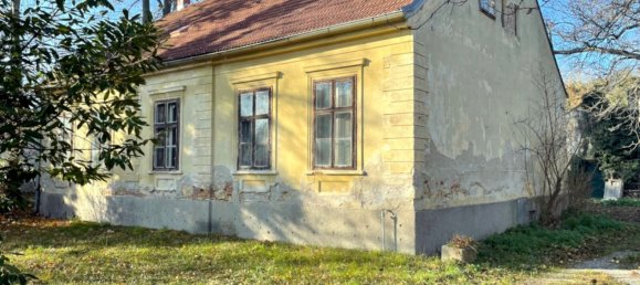  Land in Neunkirchen, Austria No. 106667 4