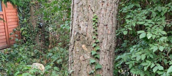 4-salle Maison à Ottakring, Austria No. 254812 13