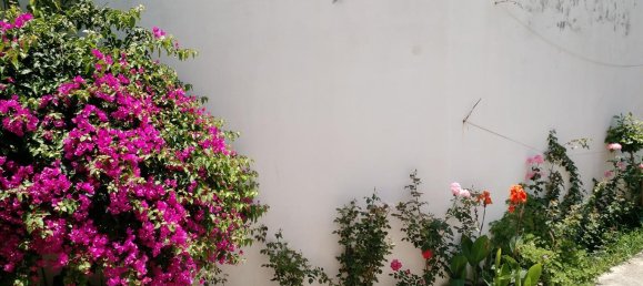 570m² Townhouse in Rethymno, Greece No. 6216 4