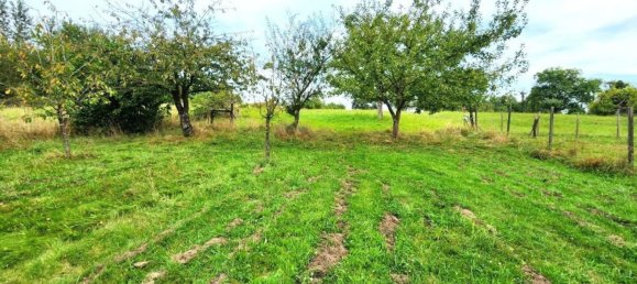 4 غرف نوم منزل في Arzviller, France رقم 246881 5