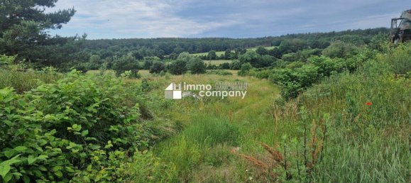  Land in Unterfrauenhaid, Austria No. 30934 4