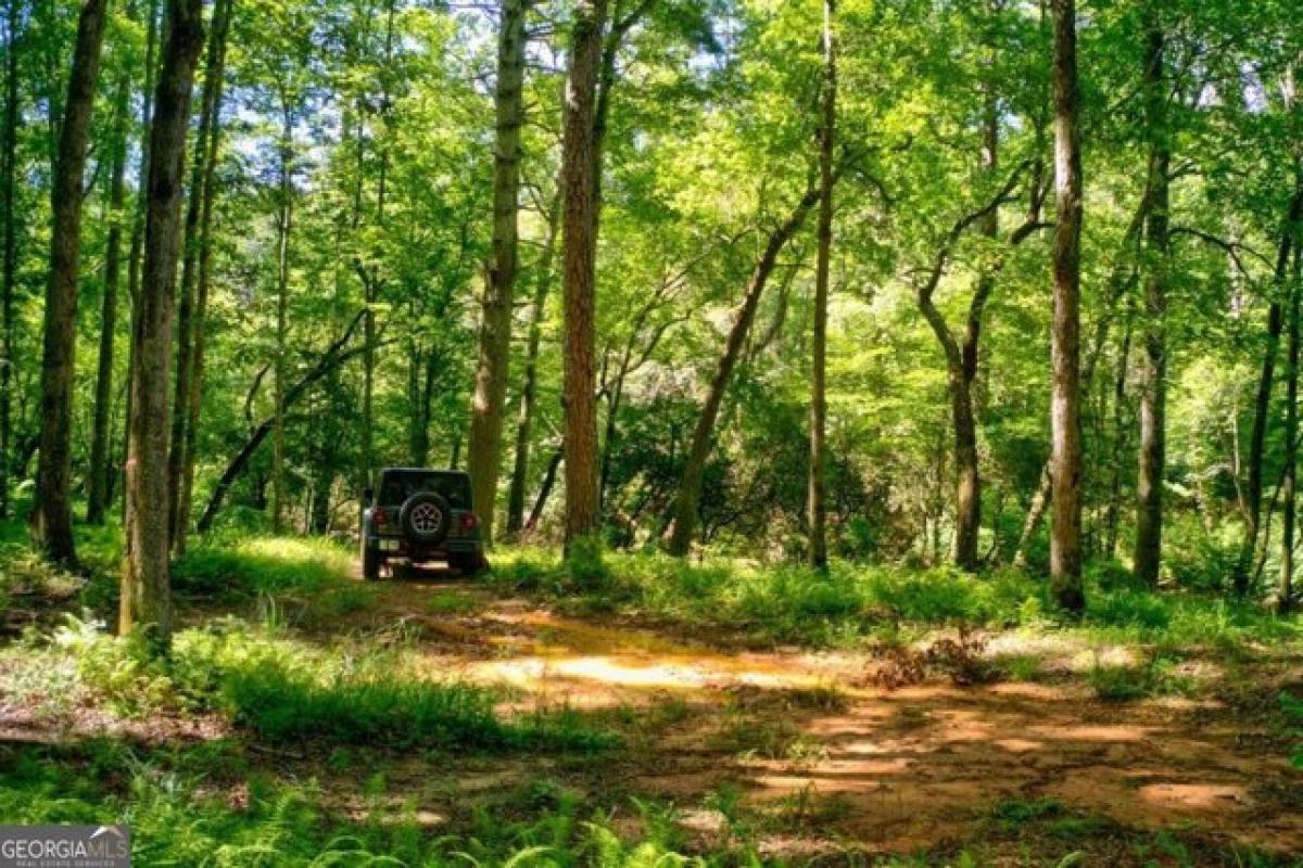  Land in Dahlonega, USA No. 496170