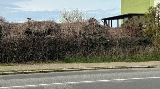  Land in Gustrow, Germany No. 85499