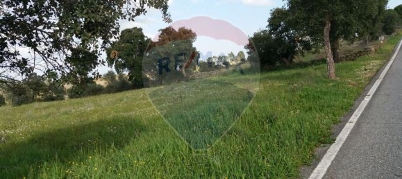 2250m² Land in Castelo Branco, Portugal No. 62567 7