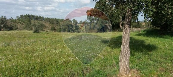 2250m² Land in Castelo Branco, Portugal No. 62567 2