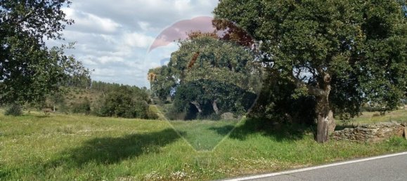 2250m² Land in Castelo Branco, Portugal No. 62567 4