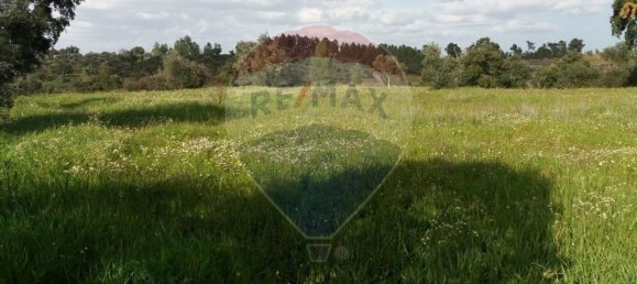 2250m² Land in Castelo Branco, Portugal No. 62567 6