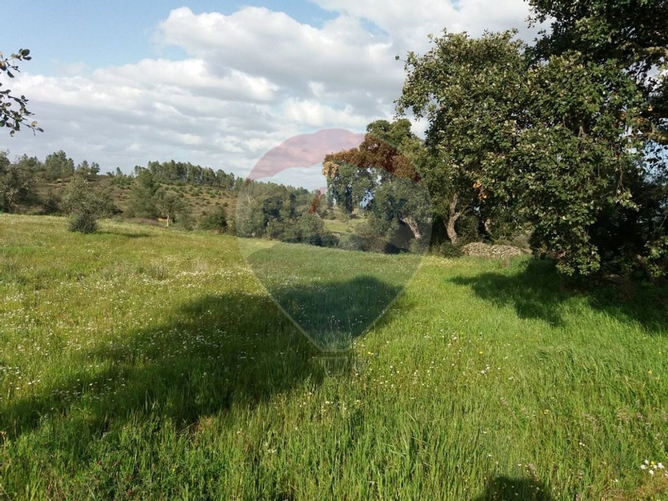 2250m² Land in Castelo Branco, Portugal No. 62567