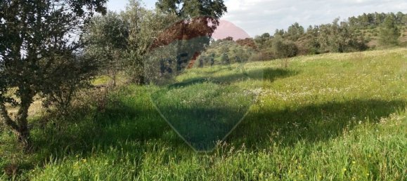 2250m² Land in Castelo Branco, Portugal No. 62567 5