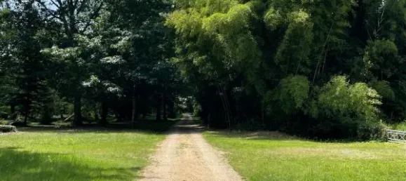 12 Schlafzimmer Wohnung in Landes, France, Nr. 351023 25