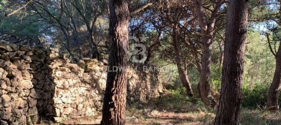 Terrain à Gagliano del Capo, Italy 4550m² No. 63524 13