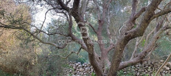 Terrain à Gagliano del Capo, Italy 4550m² No. 63524 4